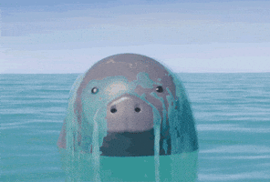 I Hate You GIF