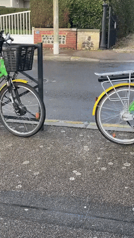 Le Havre GIF