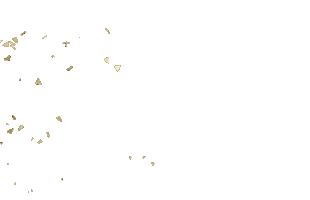 Delia Delfine Expert Pmu Sticker