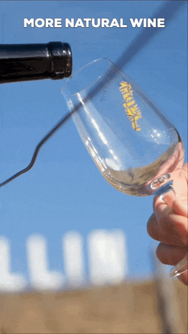 Jura GIF by MORE Natural Wine