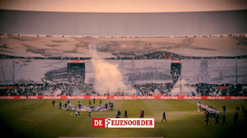 De Kuip Fan GIF by De Feijenoorder