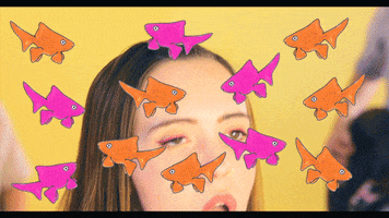 200.gif?cid=fc005b089f6ebc54ed71ea705b0f4aa93a1adca8462fe40f&rid=200.gif&ct=g