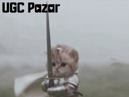 Cute Cat GIF by UGCPazar
