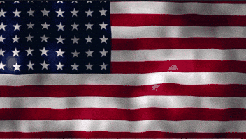War Trump GIF