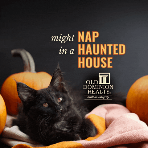 Sleepy Trick Or Treat GIF by Old Dominion Realty