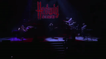 hedwig and the angry inch GIF by Obie Awards