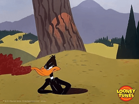daffy duck no GIF by Looney Tunes