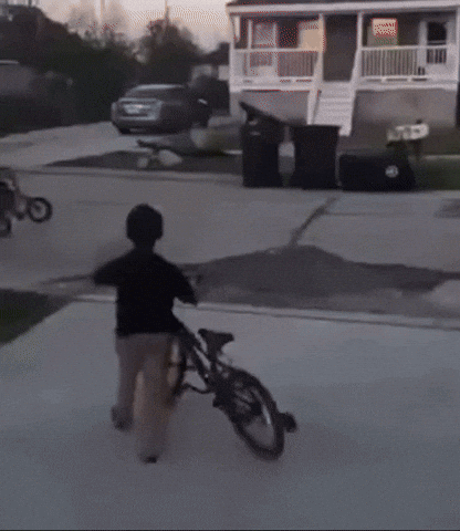 Lilbro GIF