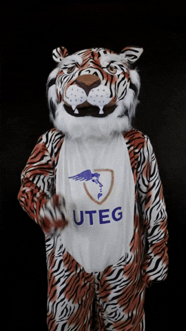 Somostigres GIF by UTEG