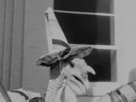 Video gif. We see black and white footage of a turkey gobbling wearing a pointed hat tied under its chin as we move close to it. 
