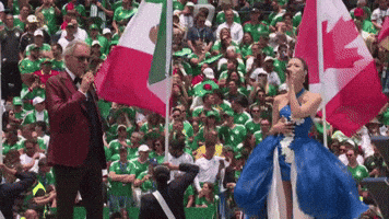 World Cup Fifa GIF