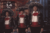 Amigos-da-qualy GIFs - Get the best GIF on GIPHY