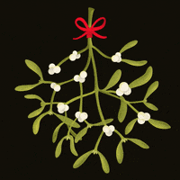 200.gif?cid=fc005b08ab63e2154854483ca835fd2ddcca2ad2a10902be&rid=200.gif&ct=g