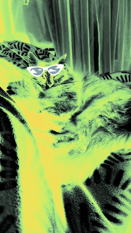 Ginka GIF by EscuelaMountain