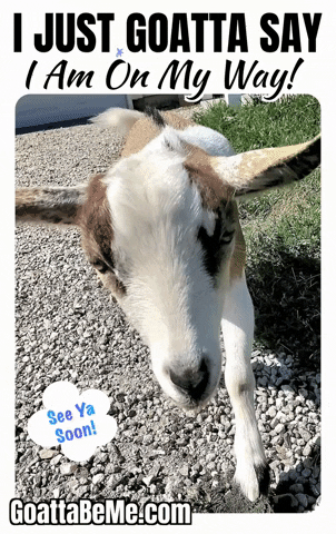See Ya Pets GIF by Goatta Be Me Goats! Adventures of Java, Toffee, Pumpkin and Cookie!!