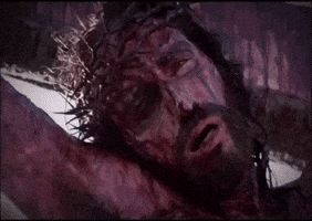 Mel Gibson Forgiveness GIF