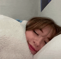 Sleep Zzz GIF