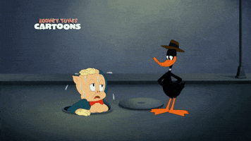 Looney Tunes Animation GIF by Cartoon Network Asia