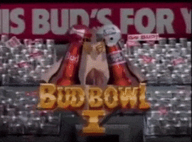 Budbowl GIF by Bud Light
