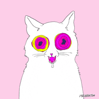 cat fox GIF by Animation Domination High-Def