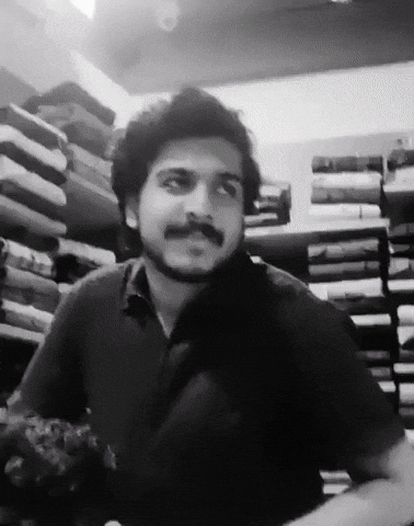 Pariey GIF
