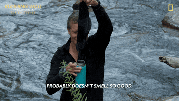 Smells Bad Nat Geo GIF by National Geographic Channel