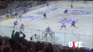 gagarin cup GIF by ONE World Sports
