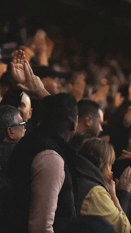 West Brom Fans GIF by West Bromwich Albion