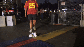 Football Fight On GIF by USC