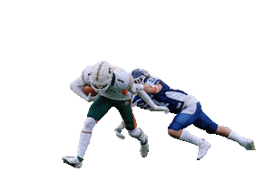 American Football Fred Sticker by Dolphins Ancona