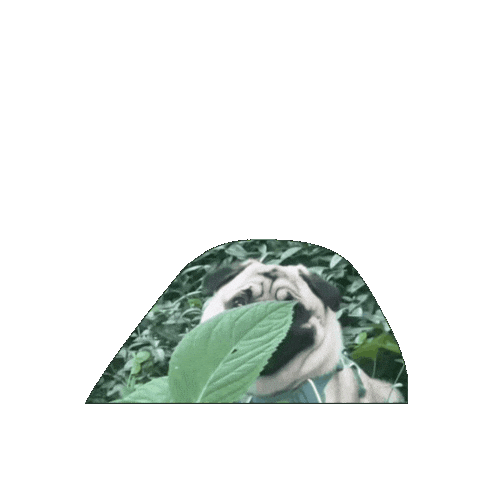 Hiding Shame Sticker