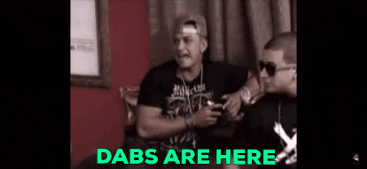 Jerseyshore GIF