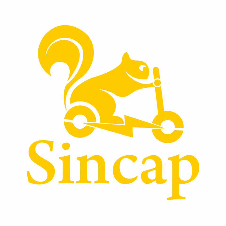 Sincap Scooter GIF