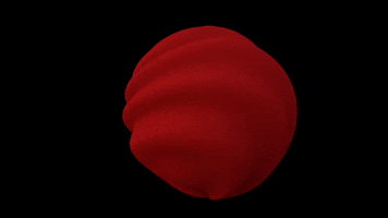 CALHER DELAETER GIF
