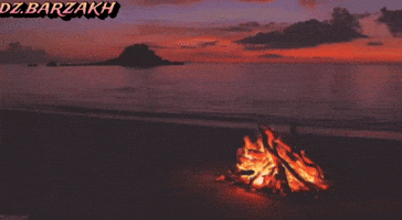 Beach Camping GIF