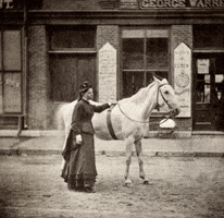 horseback riding horse GIF by Vintage 3D