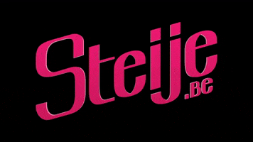 Steije Hillewaert GIF