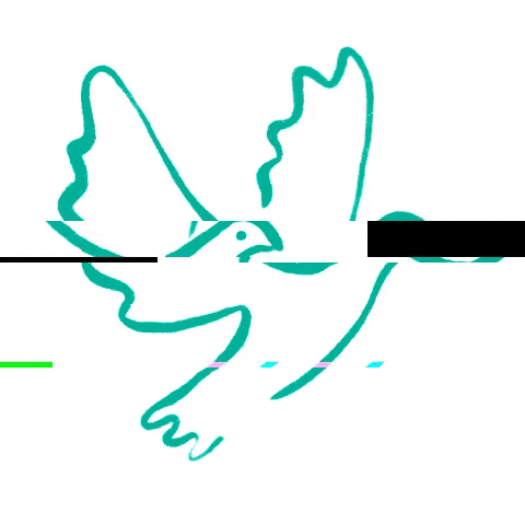 @brieftaubenaktion GIF