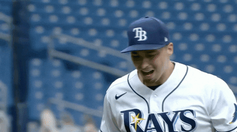 Tampa Rays GIFs - Get the best GIF on GIPHY