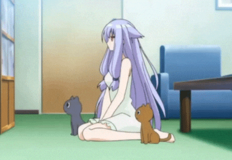 Anime Cat Girl Gifs Get The Best Gif On Giphy