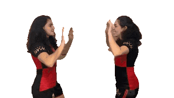 Niterói Rugby Sticker