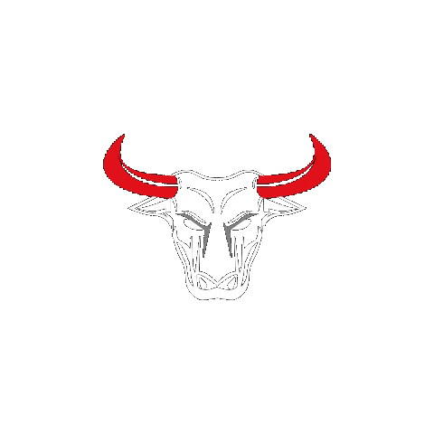 Cftb Crossfittb Sticker by CrossFit Telêmaco Borba