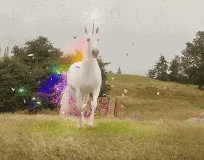 unicorn rainbow gif
