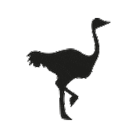 Schaamteloos Sticker