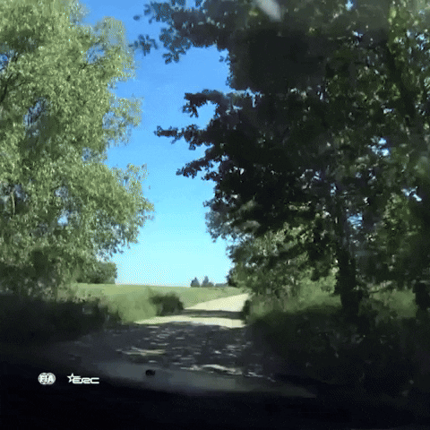 Speed Driving GIF by FIA European Rally Championship