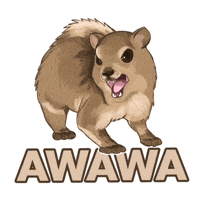 Hyrax Awawa GIF