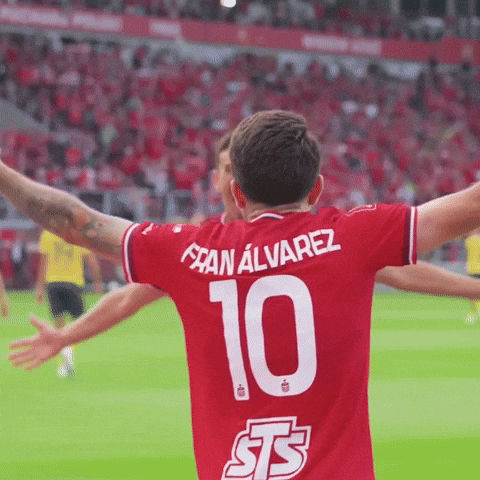 Football Soccer GIF by Widzew Łódź