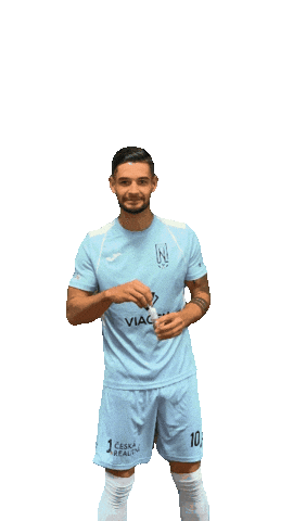 Fkviagem Sticker by Florbal Ústí