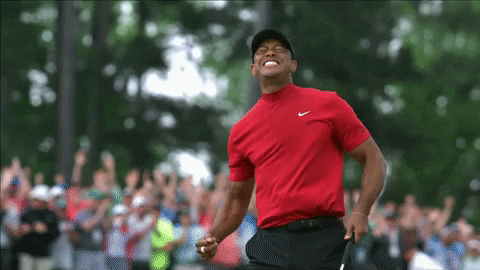 Image result for tiger woods fist pump gif