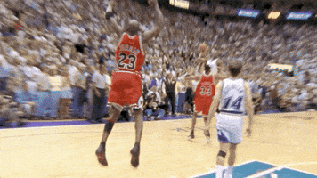 Celebrate Chicago Bulls GIF by ESPN